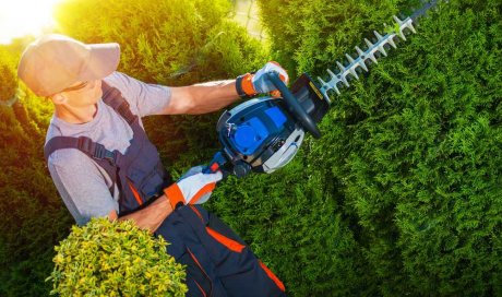 Mise en forme et taille de haie de jardins d'une copropriété - Nice - POKO BATI